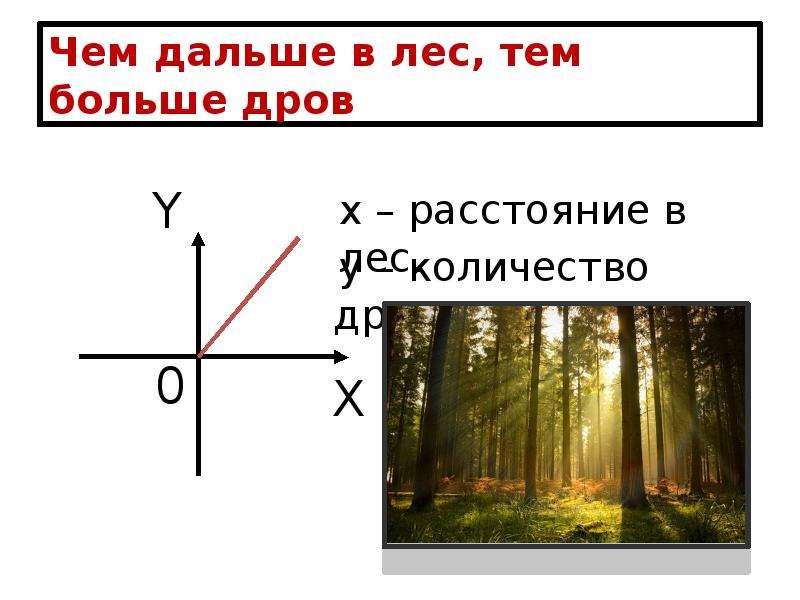 Чем дальше в лес тем больше дров