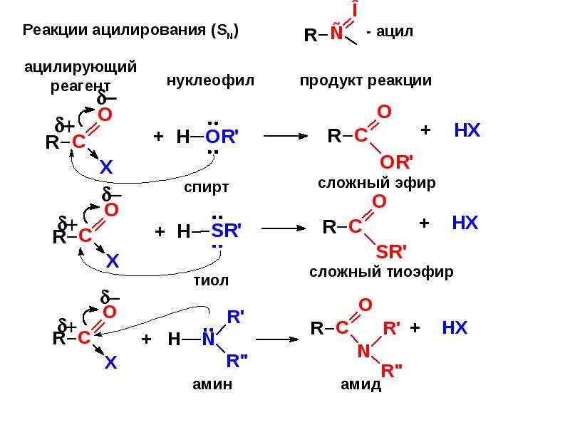 Х реакций. Механизм реакции ацилирования бензола. Механизм реакции ацилирования. Механизм реакции ацилирования спиртов. Механизм реакции ацилирования ангидридами.