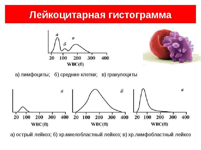 Клинический анализ крови презентация