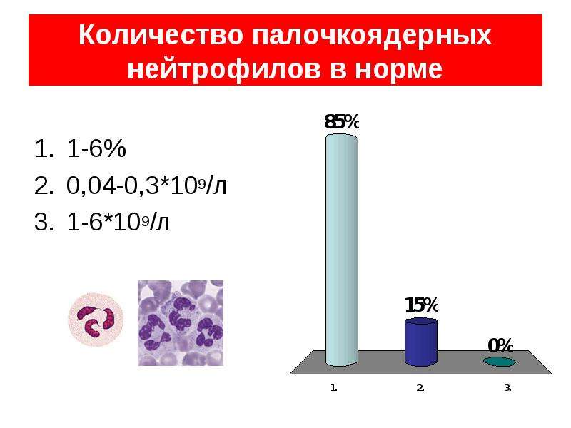 Количество палочкоядерных нейтрофилов. Сколько палочкоядерных.