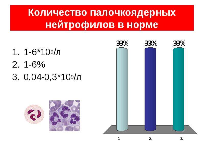 Количество палочкоядерных нейтрофилов. Палочкоядерные норма. Норма палочкоядерных нейтрофилов.