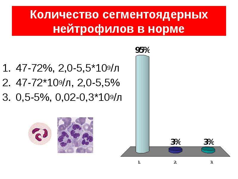 Повышенное сегментоядерные. Количество сегментоядерных нейтрофилов норма. Снижение сегментоядерных нейтрофилов. Большое количество сегментоядерных нейтрофилов. Снижение сегментоядерных нейтрофилов в крови.