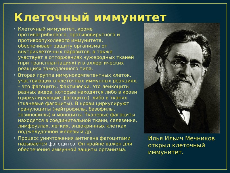 Клеточный иммунитет. Мечников иммунитет. Клеточный иммунитет открыл. Клеточный иммунитет Мечников.