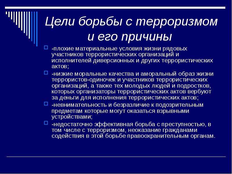 Проект борьба с международным терроризмом