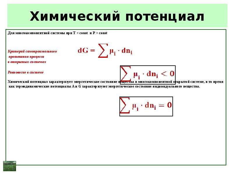 Химический потенциал