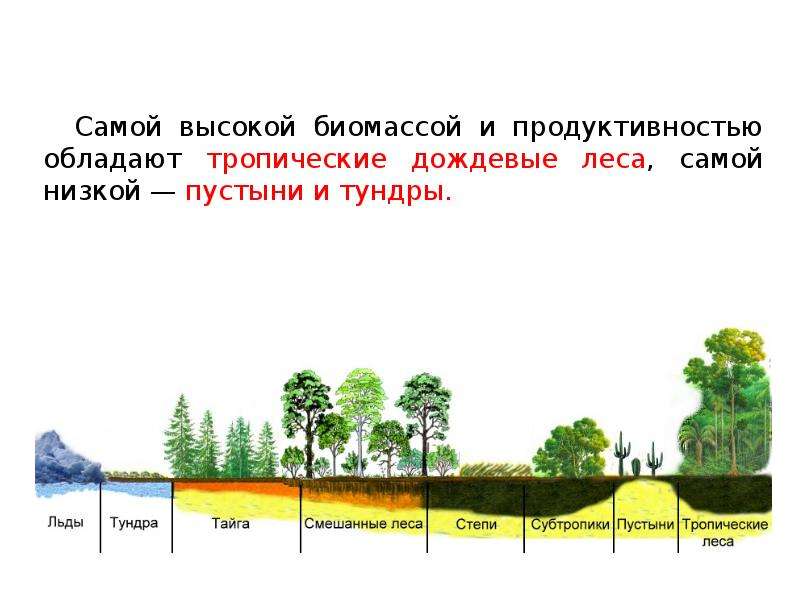 На рисунке изображены две экосистемы экосистема степи и смешанного леса сравните