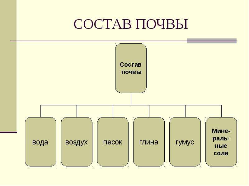 Состав почвы 1 2 3 4