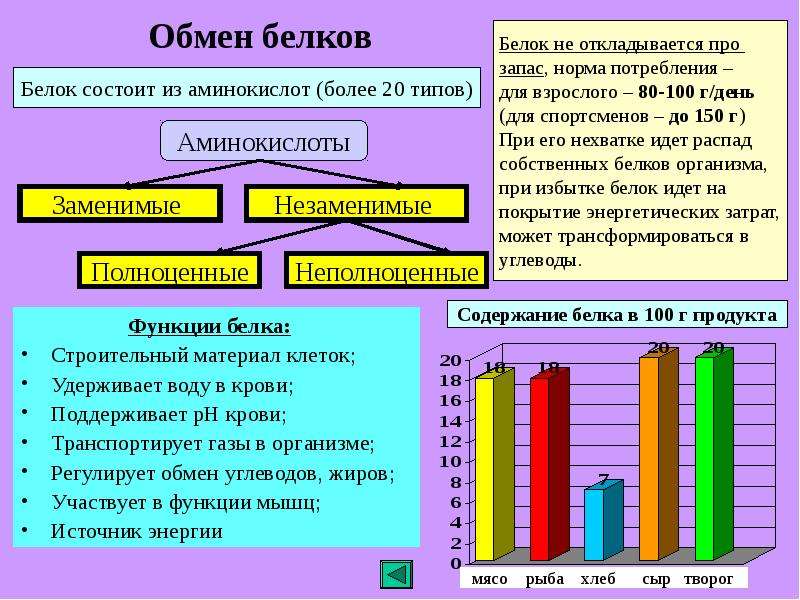 Обмен белков картинки