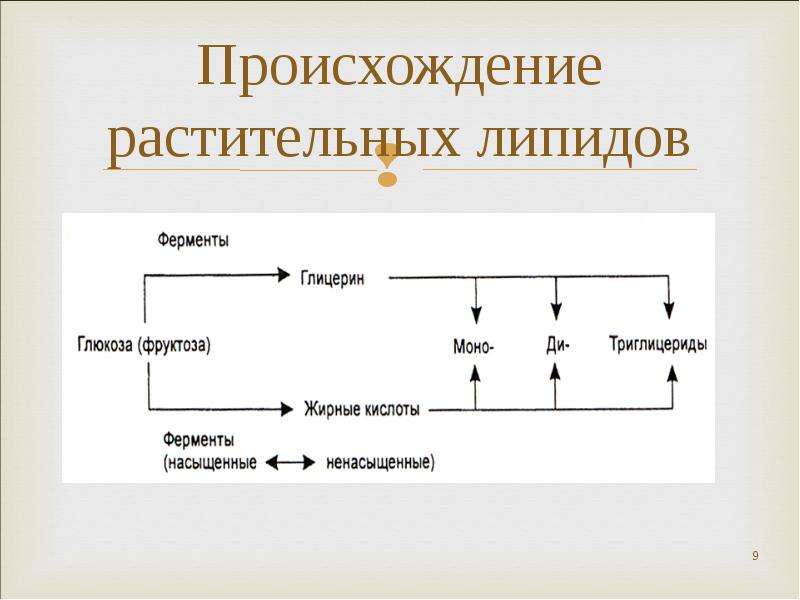 Происхождение жиров. Липиды растительного происхождения. Растительные и животные липиды. Источники липидов. Состав липидов растительного сырья.