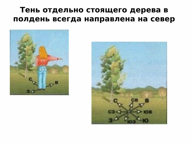 Способ определения своего местоположения относительно сторон горизонта