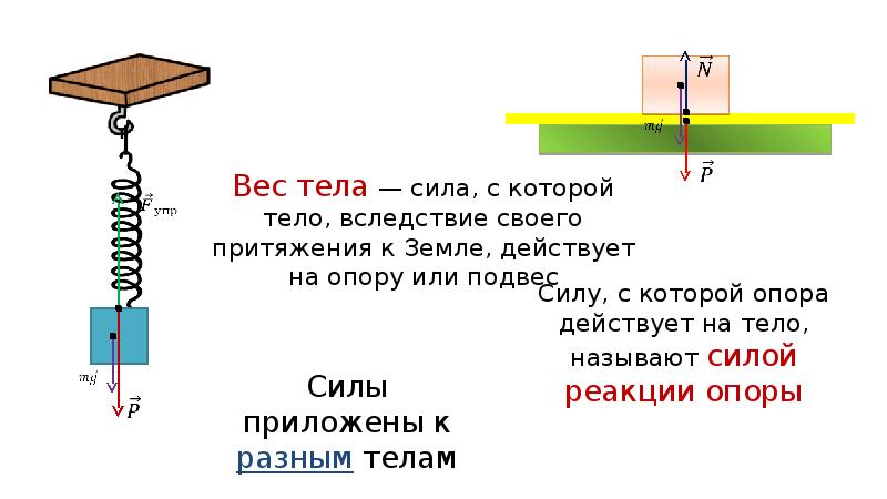 Закон ньютона тест