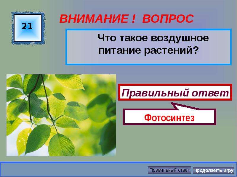 Растения называют органом воздушного питания. Воздушное питание растений. Вопросы про воздушное питание растений. Воздушное питание понятие. Плод это воздушное питание растений.