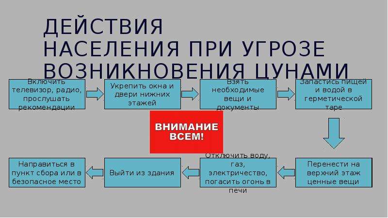 Безопасные действия при цунами. Действия населения при угрозе ЦУНАМИ. Памятка ЦУНАМИ.