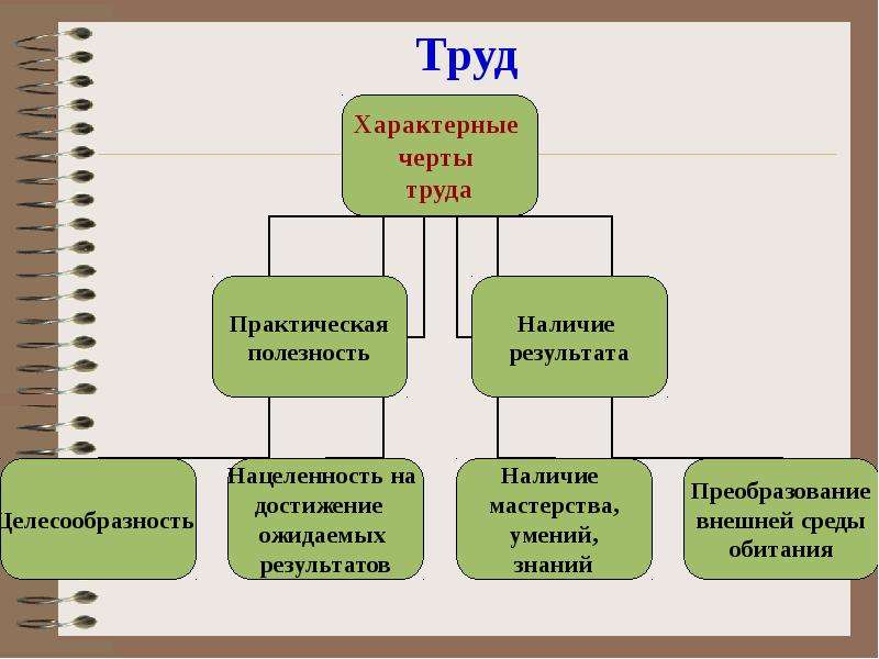 Виды труда схема