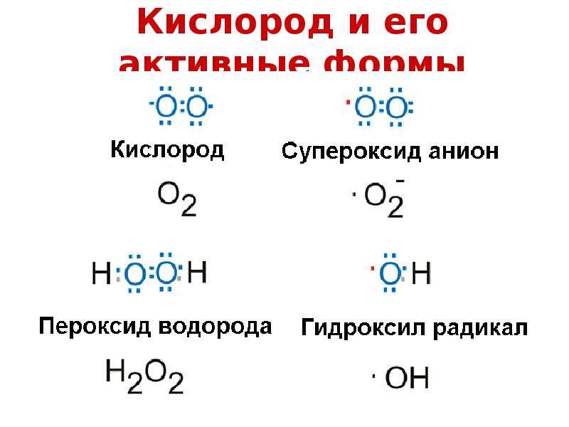Пероксид водорода окисление кислорода. Формулы активных форм кислорода. Активные формы кислорода. Активные формы кислорода Синглетный. Упероксиданион-радикала,.