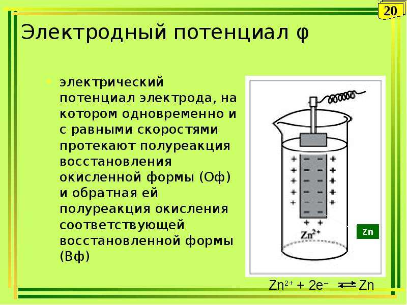 Стандартный электродный потенциал