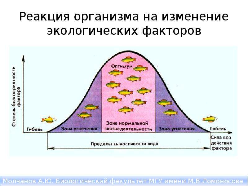 Схема действия экологического фактора на организм