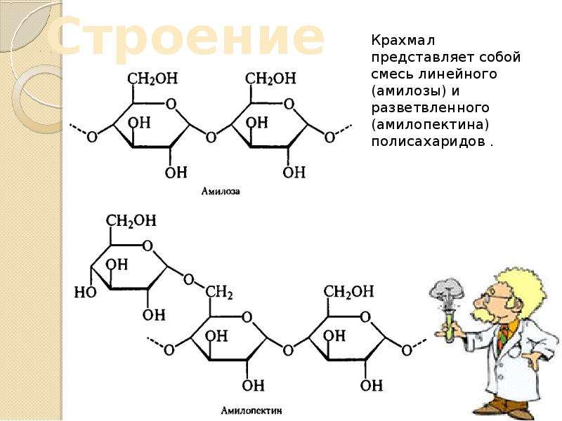 Схема строения крахмала