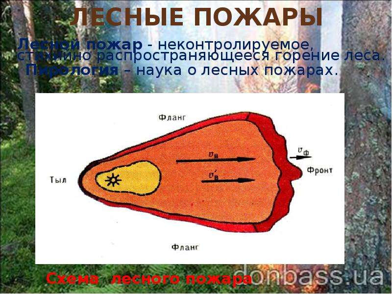 Схема лесного пожара