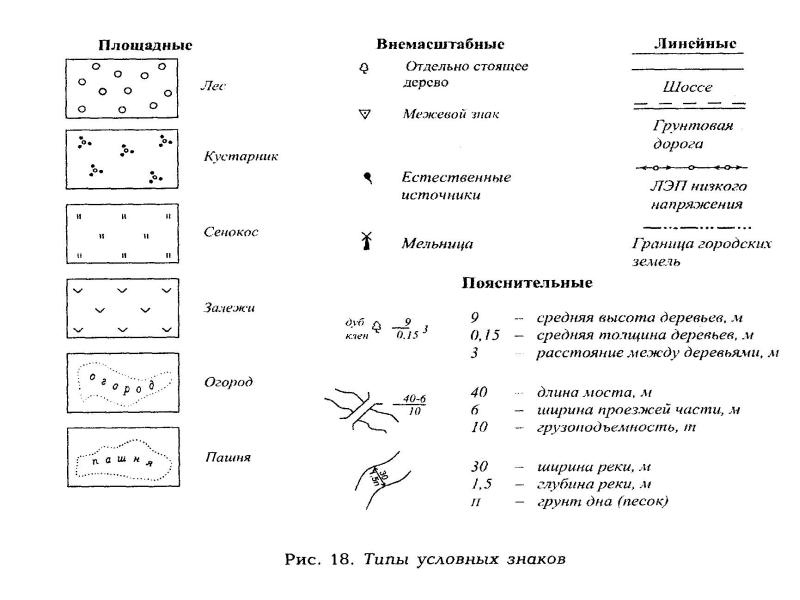 Условные обозначения деревьев на плане местности