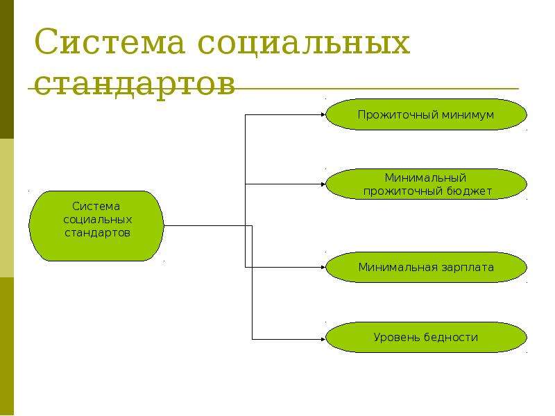 Социальные стандарты уровня жизни