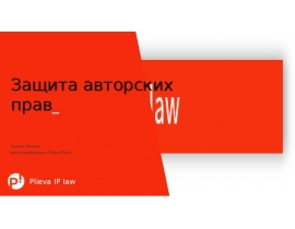 Плиева Залина. Защита авторских прав ISDEF 2019