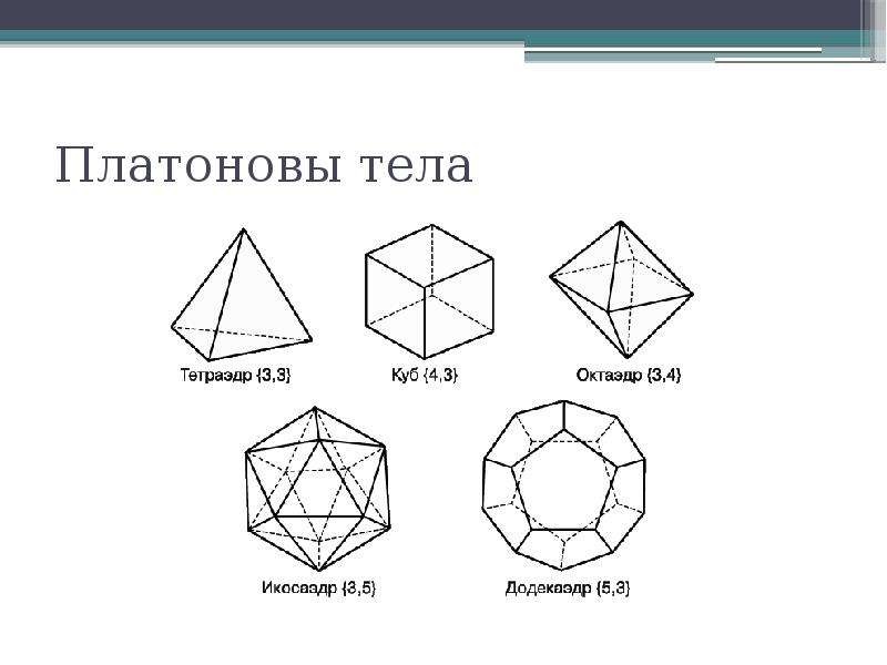 Платоновы тела проект