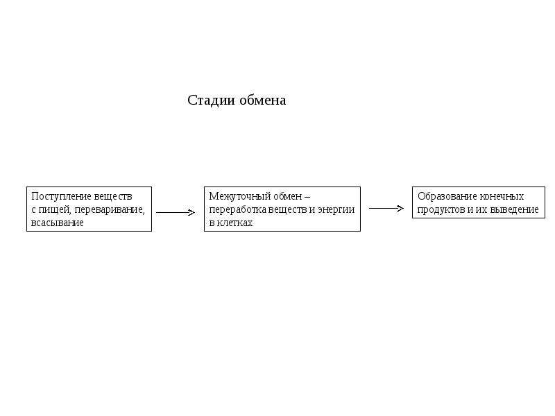 Стадии обмена веществ. Процесс поступления и переработки веществ в клетке это. Азотистый обмен таблица.