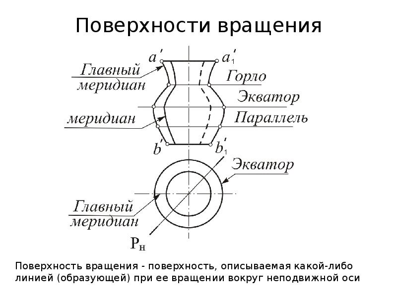 Кривые поверхности