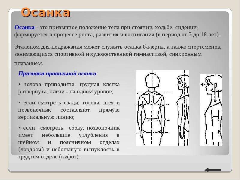 Привычное положение тела. Привычное положение тела при стоянии сидении и ходьбе. Осанка. Осанка это привычное положение. Типы осанки человека.