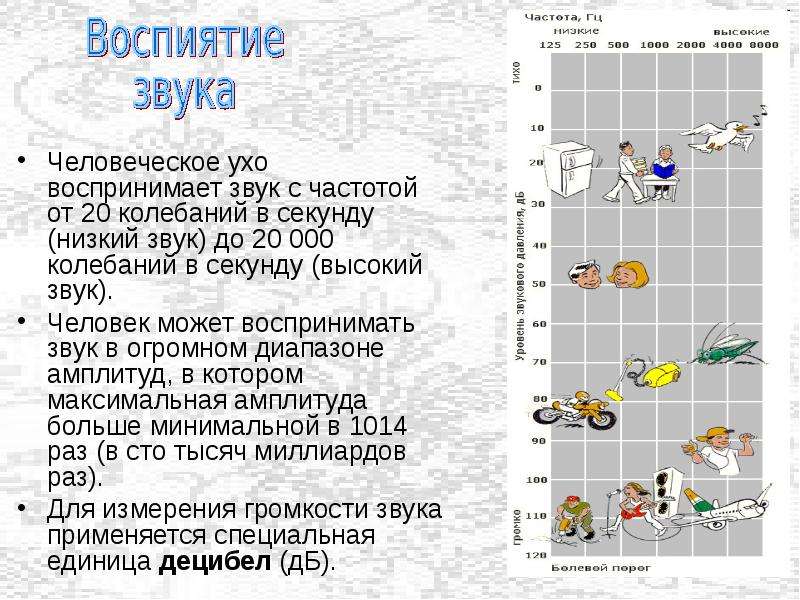 Какой диапазон частот способно улавливать ухо человека. Человеческое ухо воспринимает звук с частотой. Диапазон звука воспринимаемый человеком. Ухо улавливает звук.