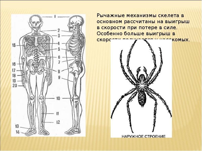 Картинки рычаги в технике