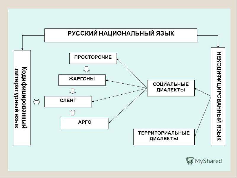 Современный русский язык проект