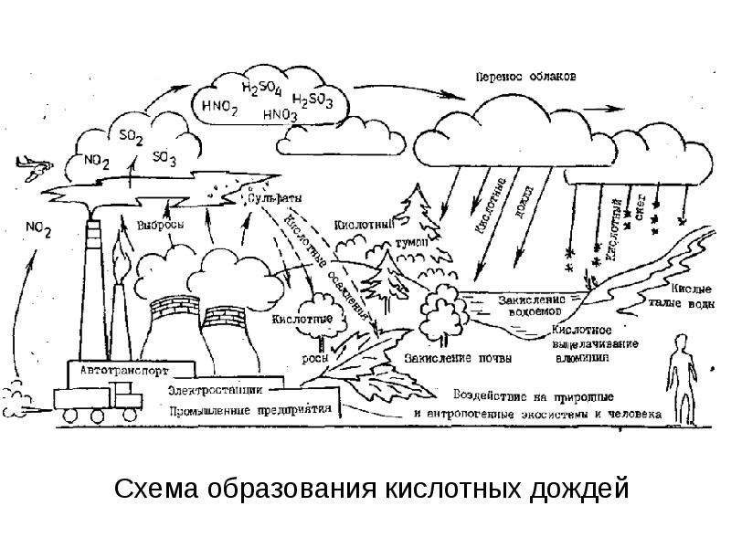 Кислотные дожди как глобальная экологическая проблема презентация