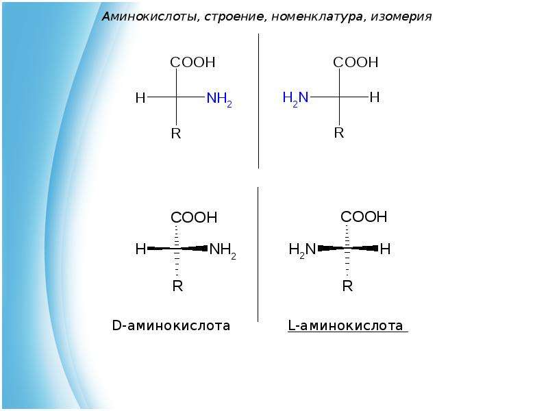 Строение аминокислот