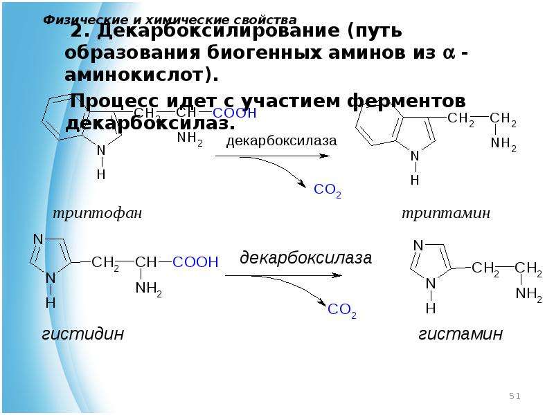 Синтез биогенных аминов