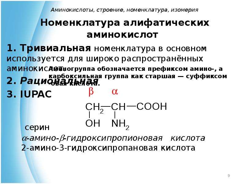 Источник аминокислот