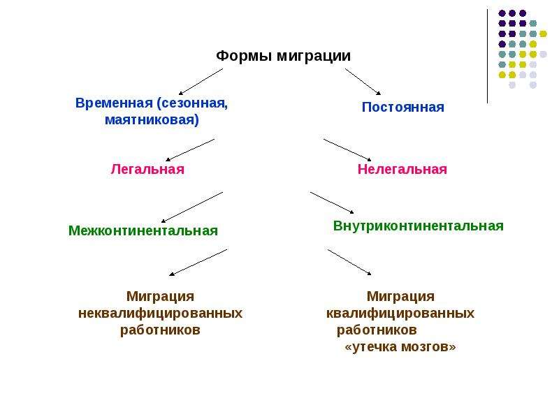 Формы международной трудовой миграции