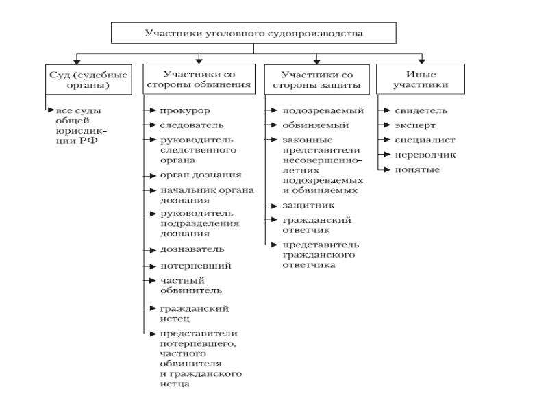 Проекты процессуальных документов это