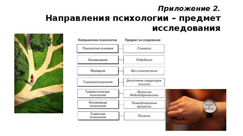 Основные направления психологии презентация