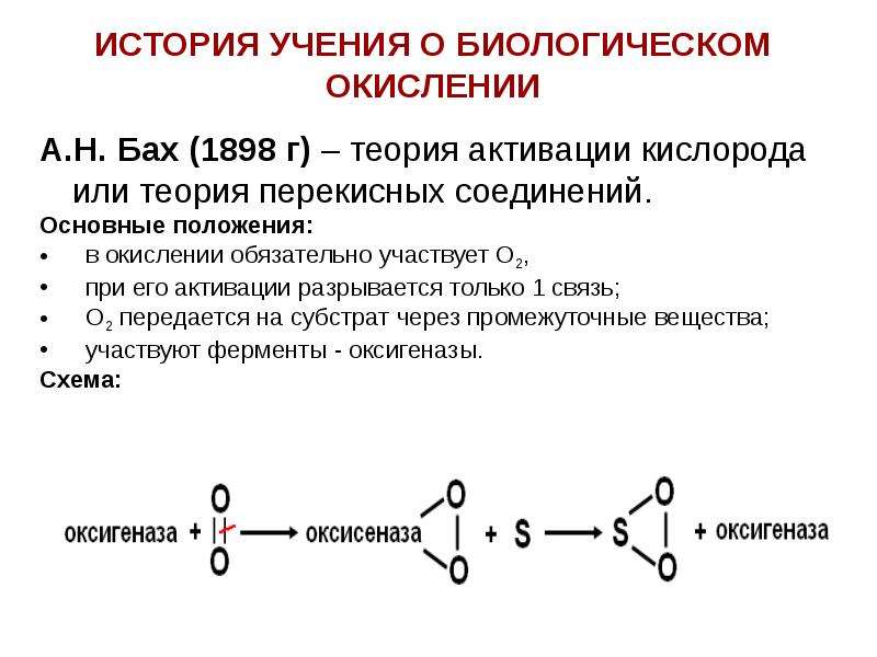 Биологическое окисление схема