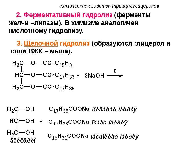 Общее свойство липидов