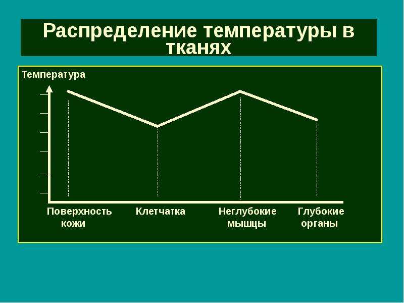 Гигиена компьютерного труда презентация