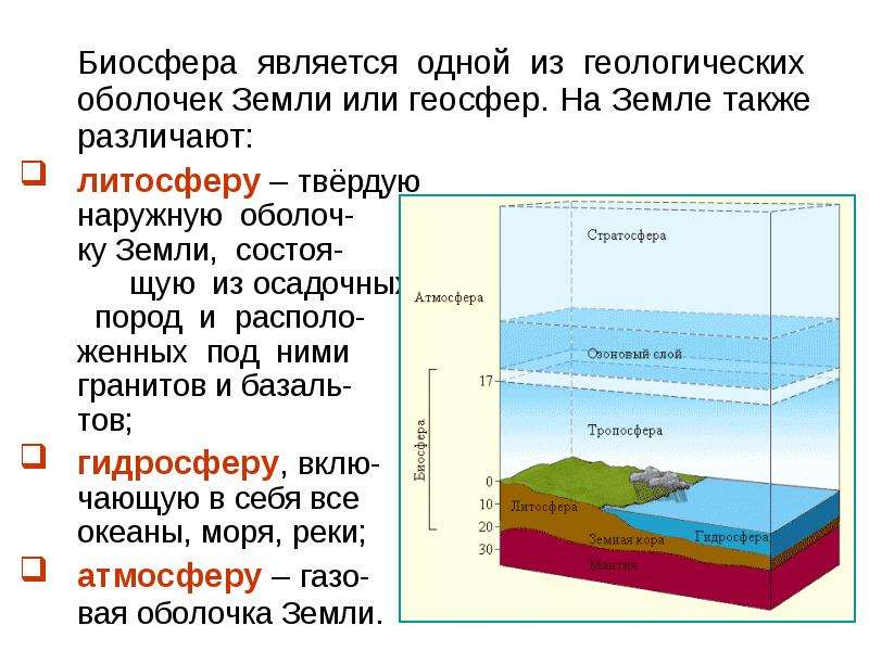 Проект живая оболочка земли