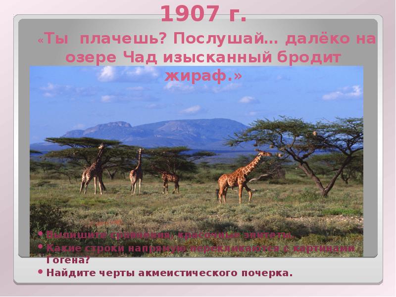 Стихотворение «Жираф», 1907 г. «Ты плачешь? Послушай… далёко на озере Чад изысканный бродит жираф. »