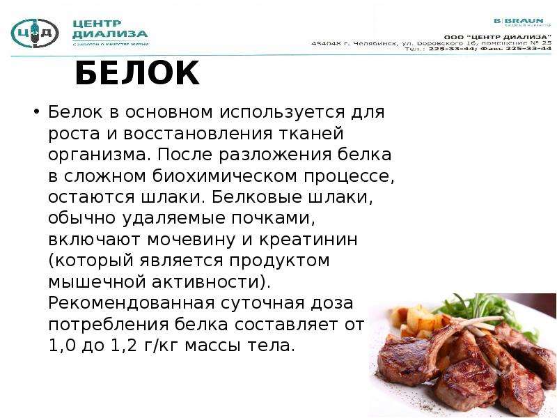 7 белков. Белок это восстановление тканей. Белки для роста и регенерации тканей. Меню для питания после удаления почки. Диета после резекции единственной почки.