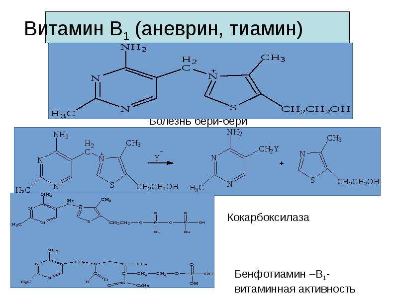 Витамин В1 (аневрин, тиамин)