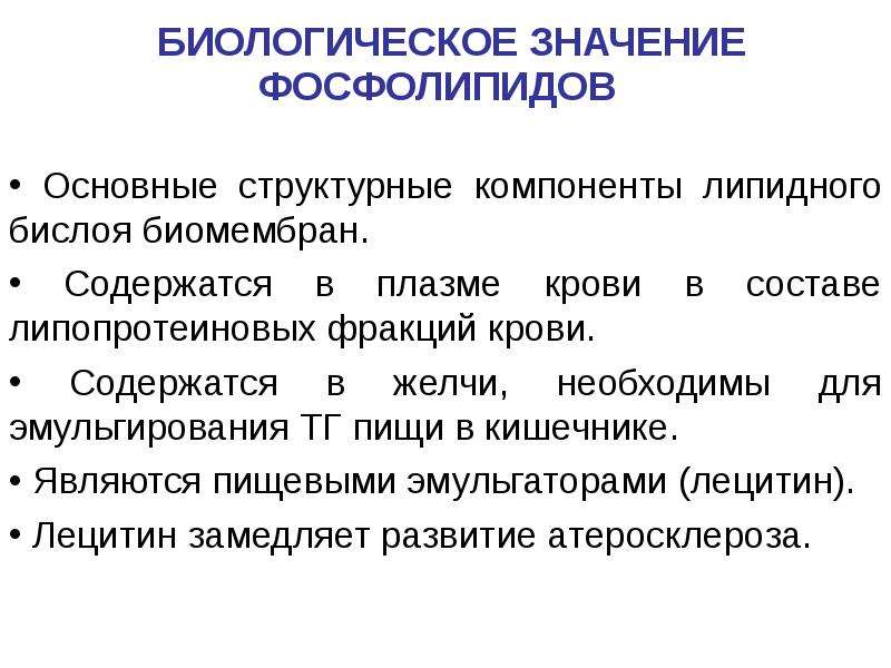 Структурными липидами являются. Фосфолипиды значение. Биологическое значение фосфолипидов. Биологическая роль липидов. Значение фосфолипидов.