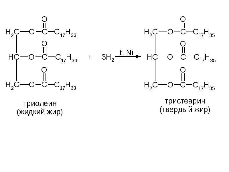 Простые липиды жиры