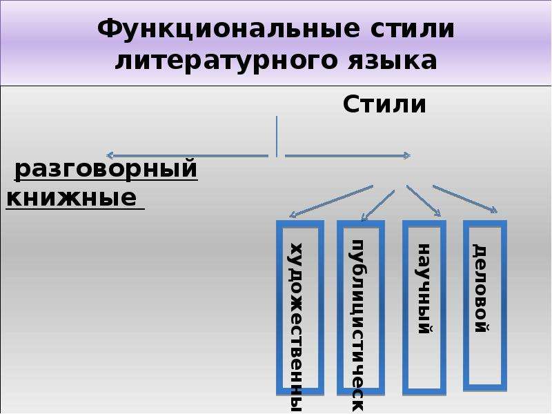 Официально деловой функциональный стиль литературного языка